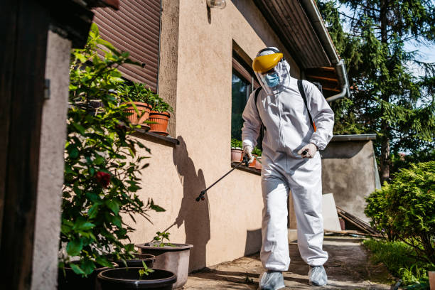 Wasp Removal Services in South Pittsburg, TN