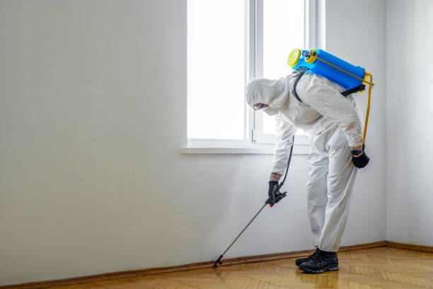 Best Pest Removal Services  in South Pittsburg, TN