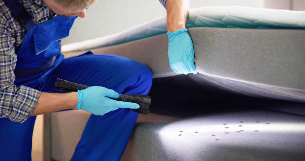 Best Commercial Pest Control Services  in South Pittsburg, TN